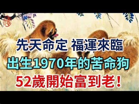 屬狗今年幾多歲|2024屬狗幾歲、2024屬狗運勢、屬狗幸運色